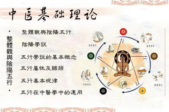 中医理论