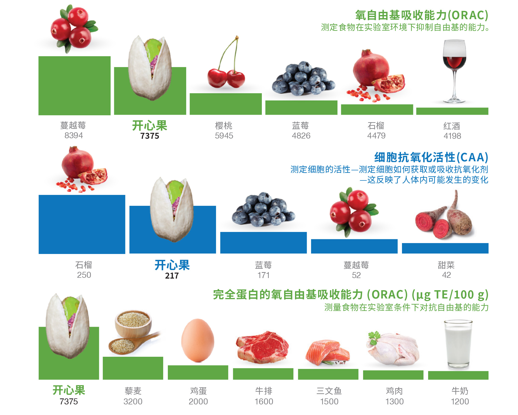 抗氧化实验对比