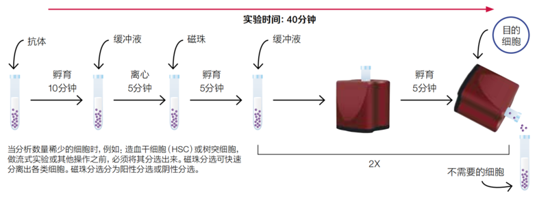多管吸印仪操作示意图