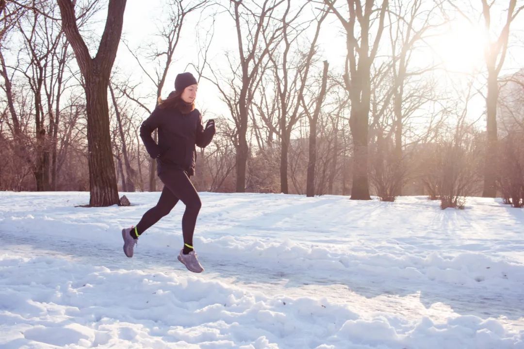 冬天早晨的懒人
