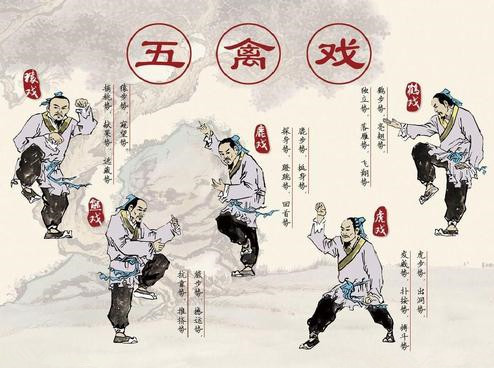 五禽戏与现代健身对比