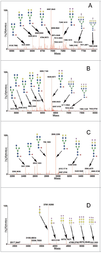 单克隆抗体糖链修饰对比图