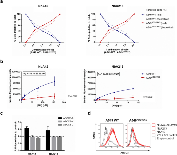 Nanobody targeting LERK-3 in glioma model