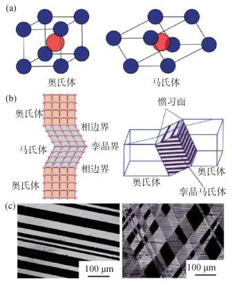 Endo H晶体结构三维模型