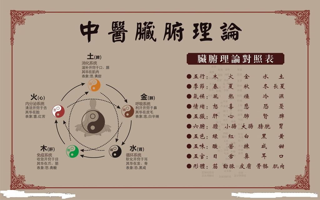 中医理论
