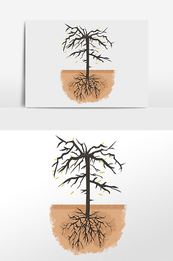 植物根系与土壤互动示意图