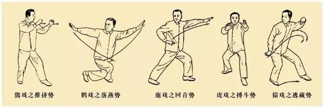 五禽戏与鸟类动作对比图