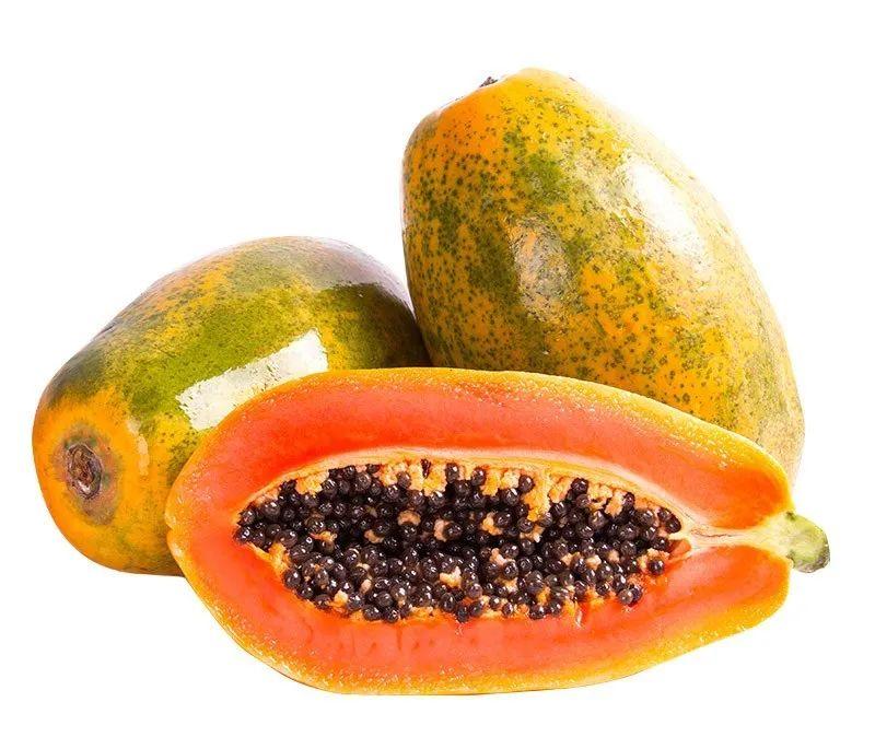 森林守护者使用木瓜牛奶后的效果