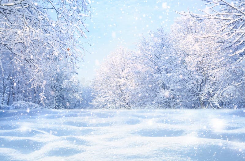 冬季雪景田园风光