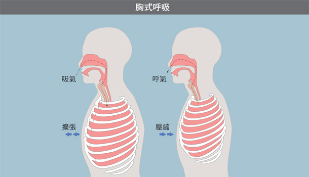 中医气功与呼吸法