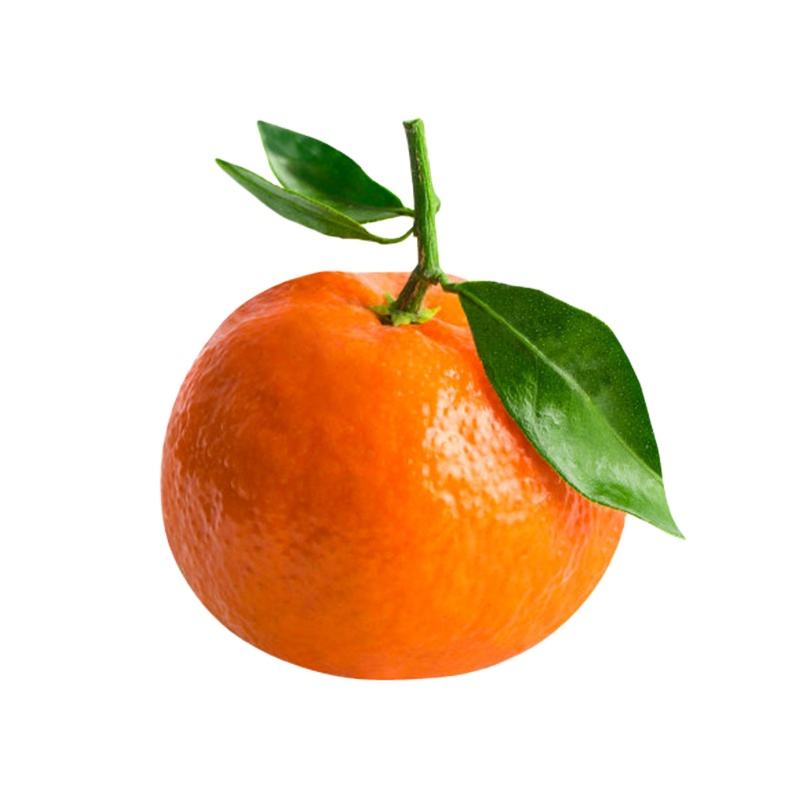 有机柑橘类水果