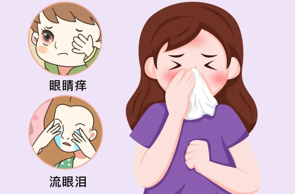 季节性过敏患者打喷嚏